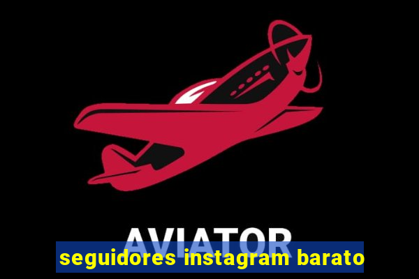 seguidores instagram barato